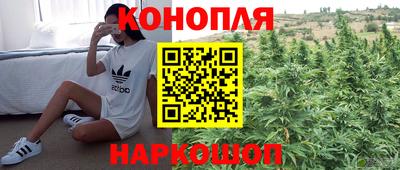 mdpv Лесосибирск