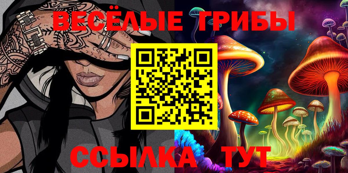 Псилоцибиновые грибы Cubensis  Вход с VPN  Боровичи  Псилоцибиновые грибы Psilocybine cubensis 