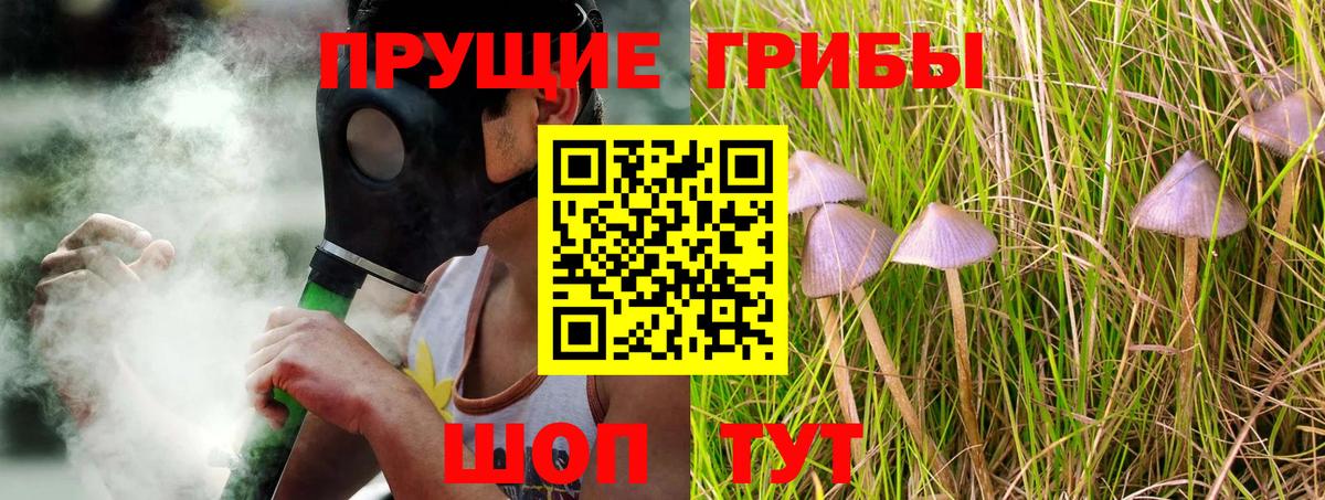 Галлюциногенные грибы прущие грибы Боровичи